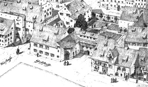 Steinlein 35