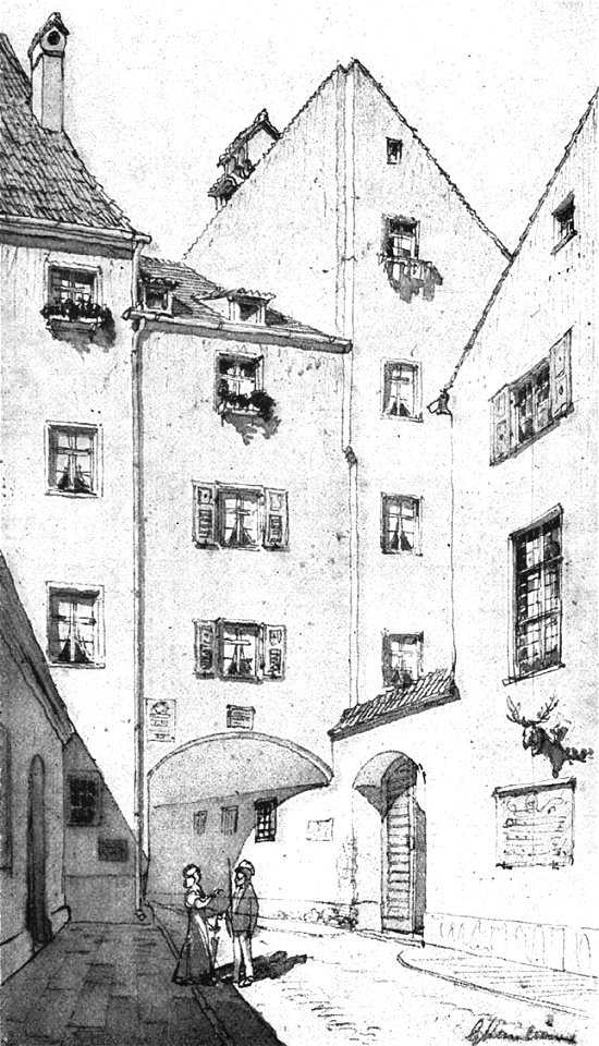 Steinlein 17