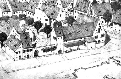 Steinlein 37