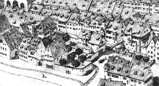 Steinlein 29