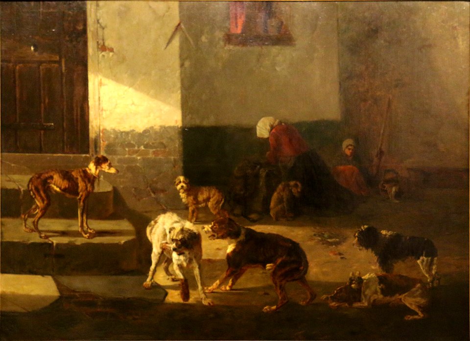 Stevens-bruxelles
