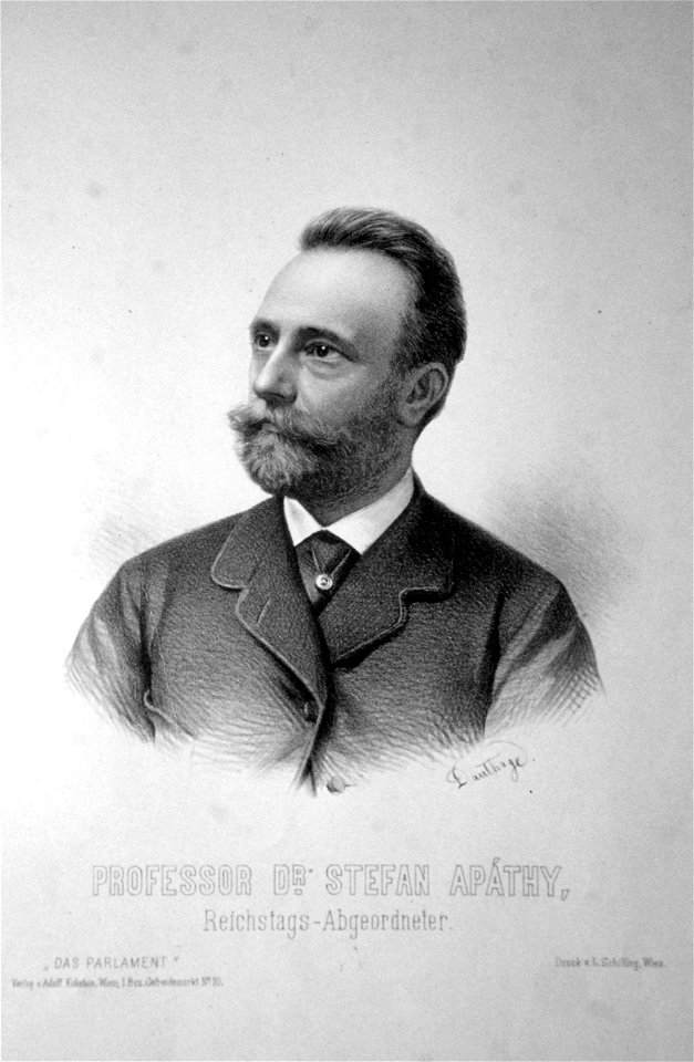 StephannApathy Litho