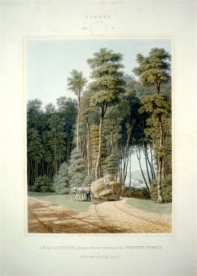 Summer. No. 3. A road accident (...) LCCN2003664816