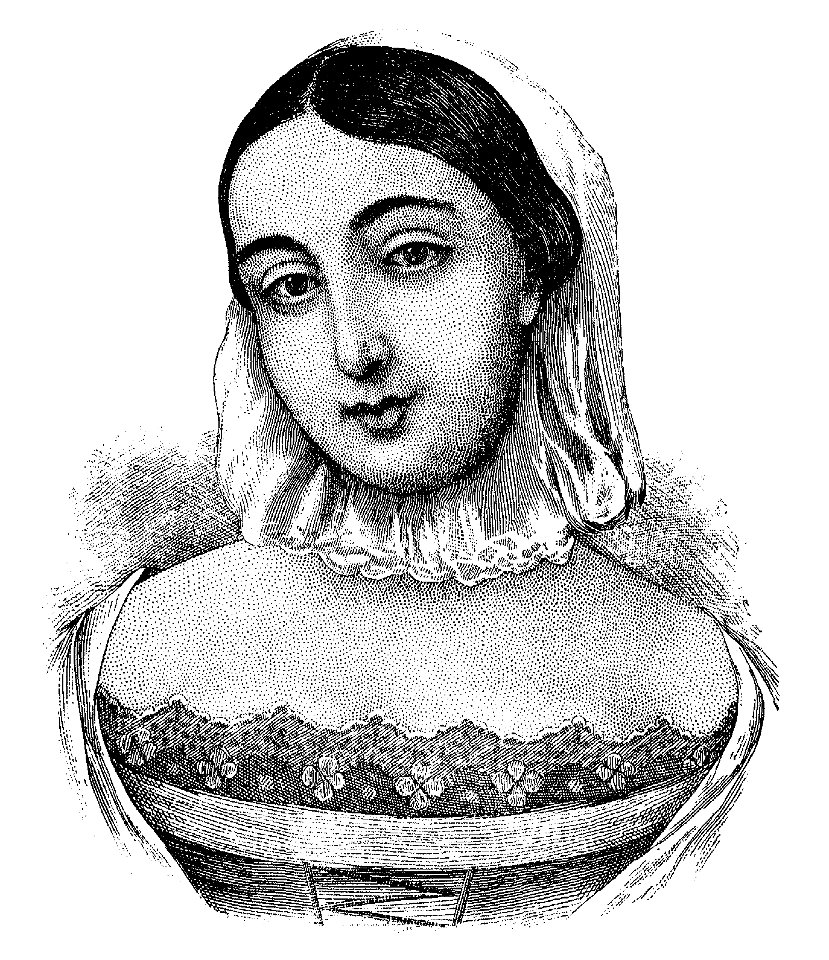 Sulte - Histoires des Canadiens-français, 1608-1880, tome VI, 1882 (page 15 crop)