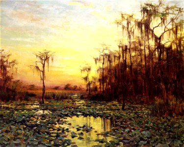 Sunset on the Suwannee River