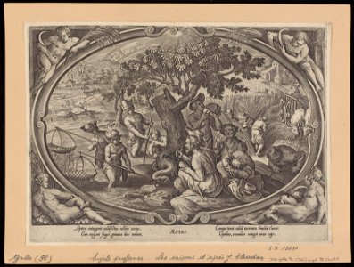 Summer s.d print by Stradanus, S.I 15430, Prints Department, Royal Library of Belgium