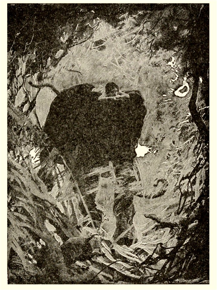 T2JB529 - Little Toomai laid himself down close to the great neck, lest a swinging bough should sweep him to the ground