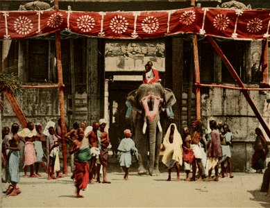 Temple elephant and people detail, South of India. Madura. Gopura. LCCN2017657631 (cropped)