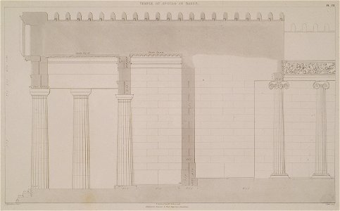 Temple of Apollo at Bassae - Longitudinal section through the posticum and opisthodomus of the temple - Cockerell Charles Robert Kinnard William Donaldsonthomas Leverton Jenkins William Railton William - 1830