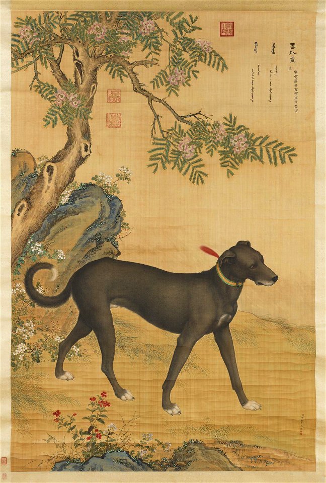 Ten Prized Dogs 10