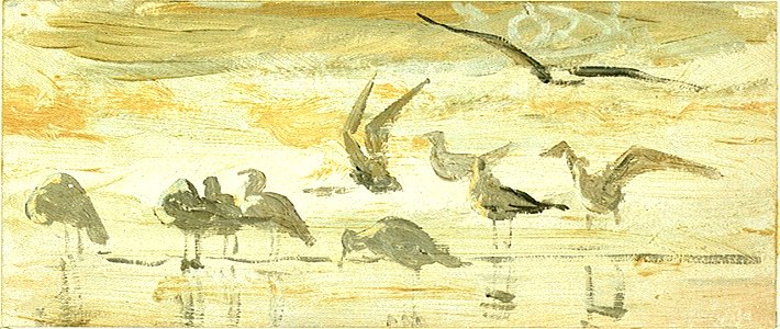 Ten seabirds, three in flight seven standing in water RMG PU0442