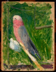 Tadeusz Makowski - Parrot - MPW 2546 MNW - National Museum in Warsaw
