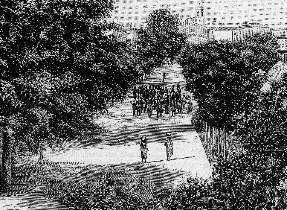 Tempio Pausania – Viale della Fonte Nuova (xilografia)
