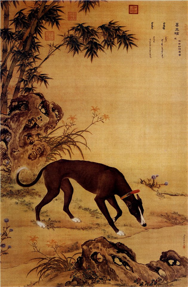 Ten Prized Dogs 07