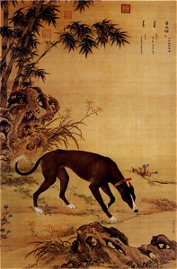 Ten Prized Dogs 07