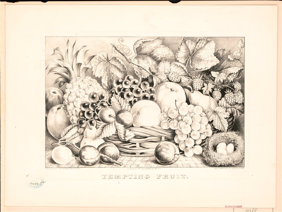 Tempting fruit LCCN2002695797