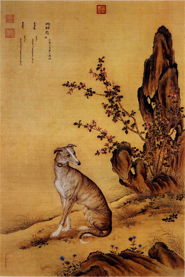 Ten Prized Dogs 02