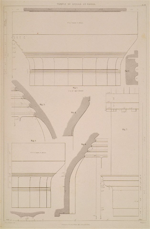 Temple of Apollo at Bassae Details of the Doric capitals Fig 1- Capital of the Doric order of the peristyles to a larger - Cockerell Charles Robert Kinnard William Donaldsonthomas Leverton Jenkins William Railton William - 1830