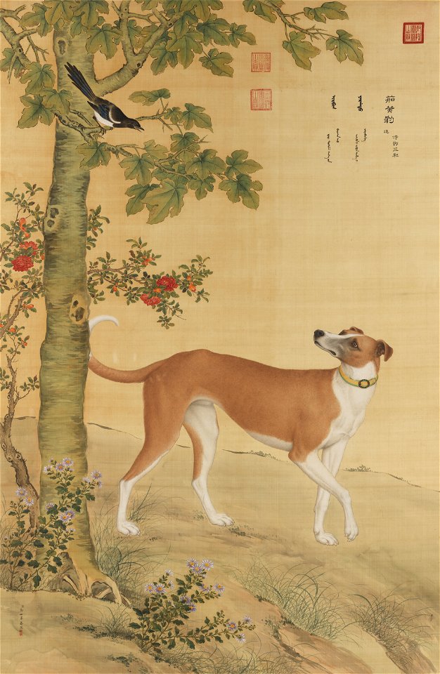 Ten Prized Dogs 08