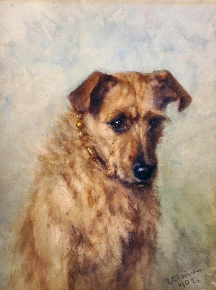 Terrier with gold collar by Frances C. Fairman