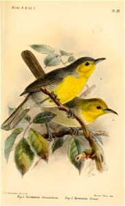 TeretistrisKeulemans