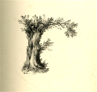 The Landscape Alphabet (BM 1870,0514.2075-2100 07)