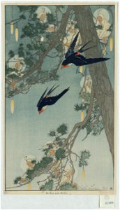 The land of the bluebird - - Bertha Lum. LCCN2002721121