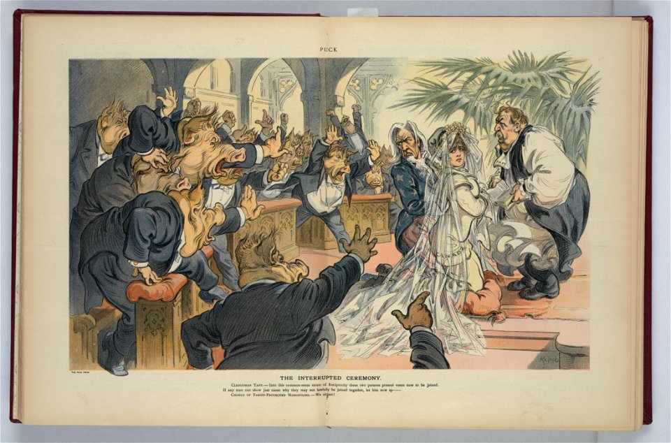 The interrupted ceremony - Keppler. LCCN2011648874