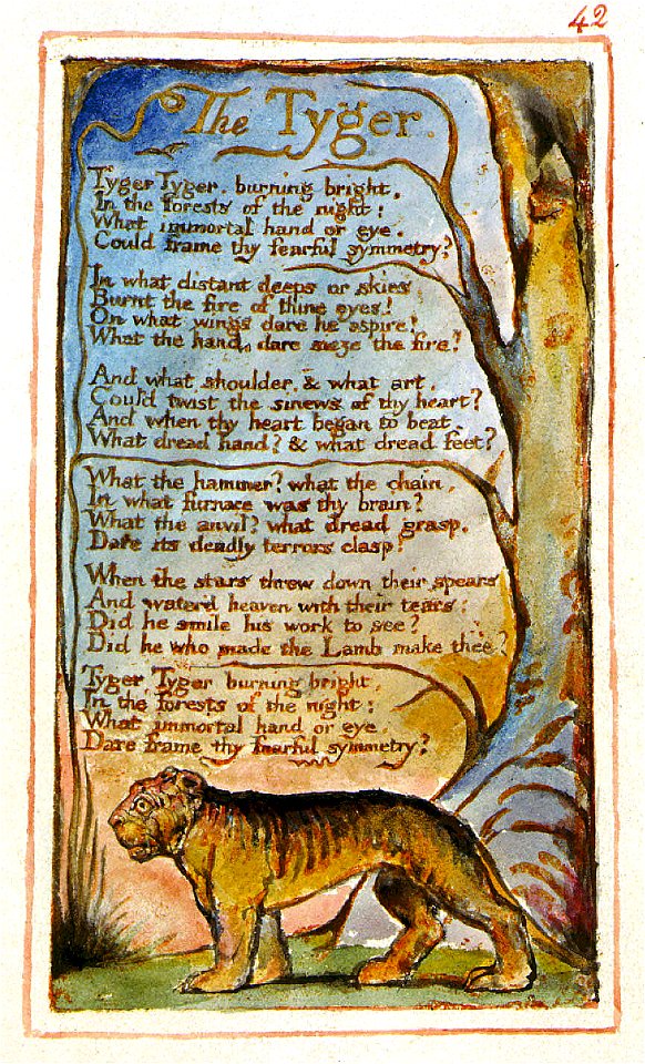 The Tyger LC 1826