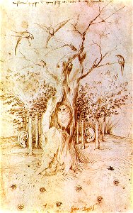 The Woods that Hears and Sees Bosch