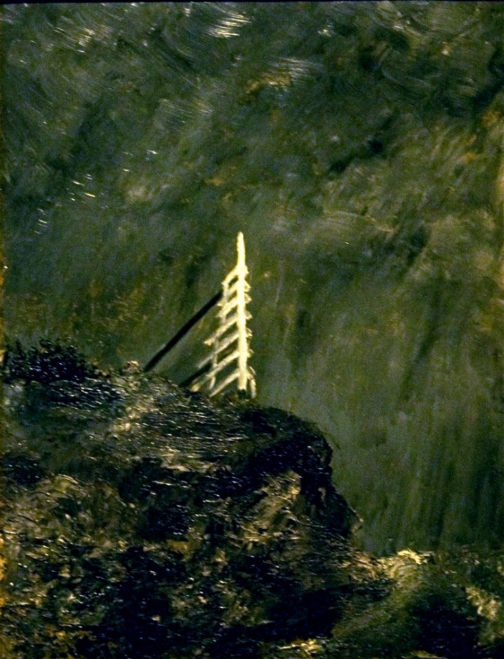 The White Mare II, 1892