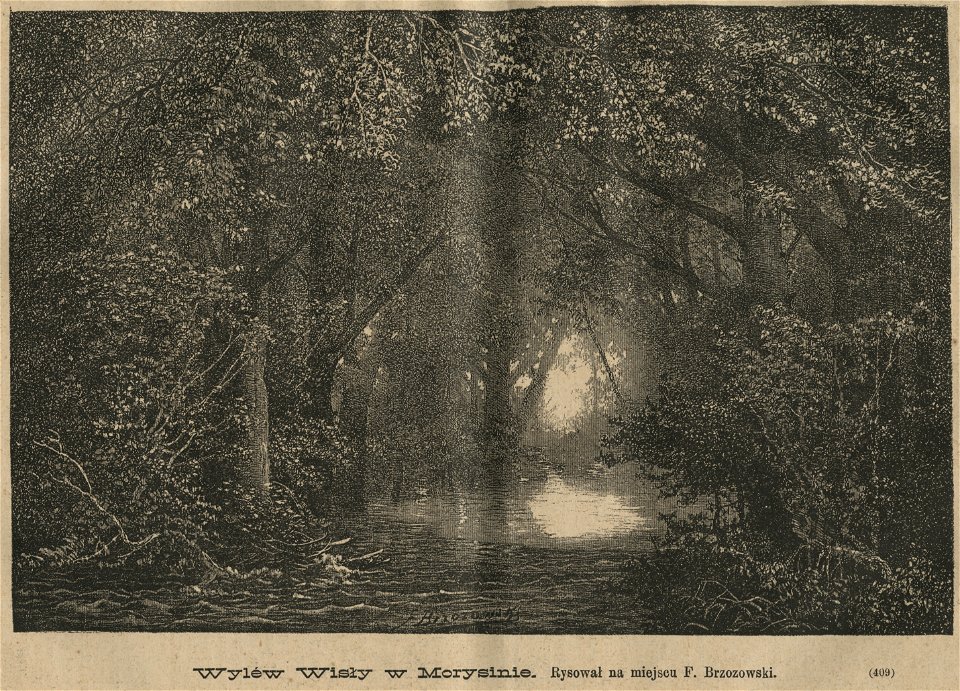 Wylew Wisły w Morysinie (59036)