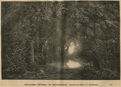 Wylew Wisły w Morysinie (59036)