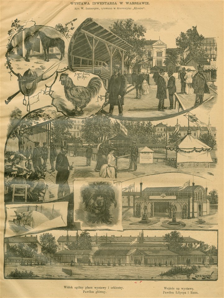 Wystawa inwentarza w Warszawie Rys. W. Zamarajew Rytowano w drzeworytni Kłosów (77066)