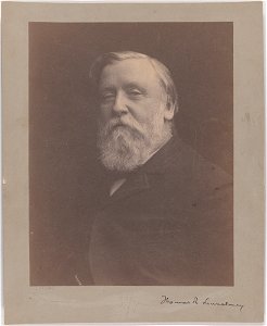 Thomas Lounsbury by George Collins Cox, c. 1895, platinum prinnt, from the National Portrait Gallery - NPG-S-NPG 2007 267