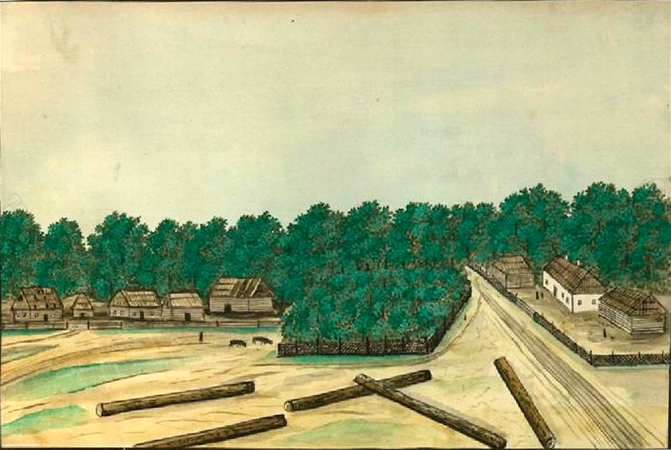 Де ля Фліз Любка 764