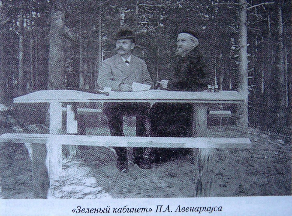 Зелёный кабинет П.А. Авенариуса