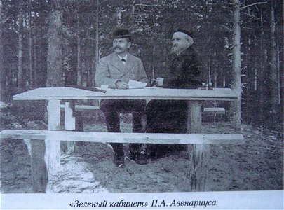 Зелёный кабинет П.А. Авенариуса