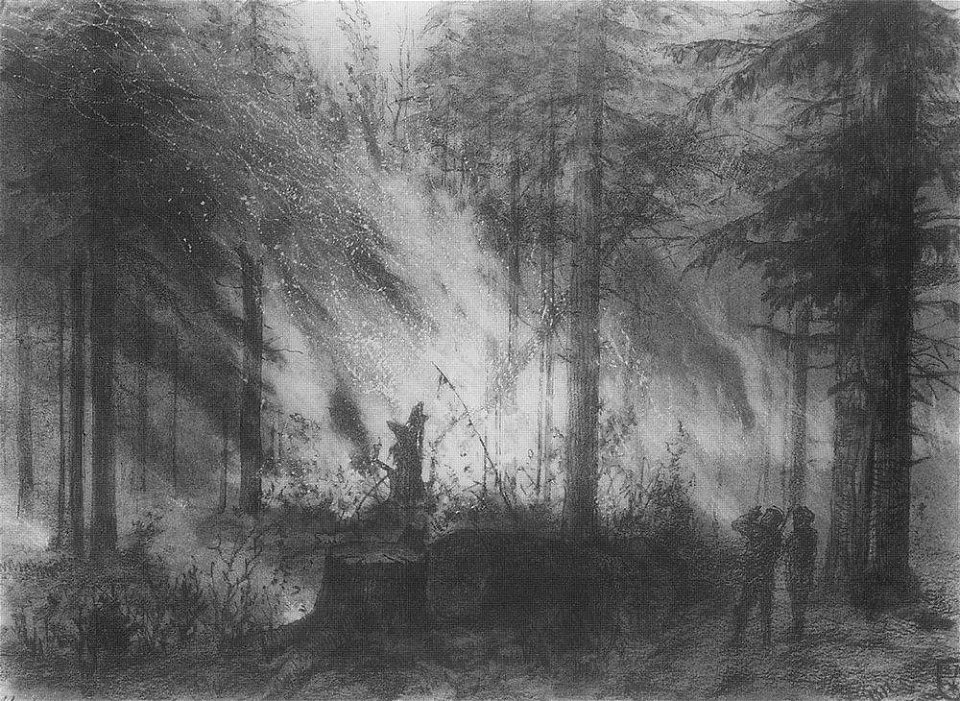 Пожар в сухой кобре. 1870