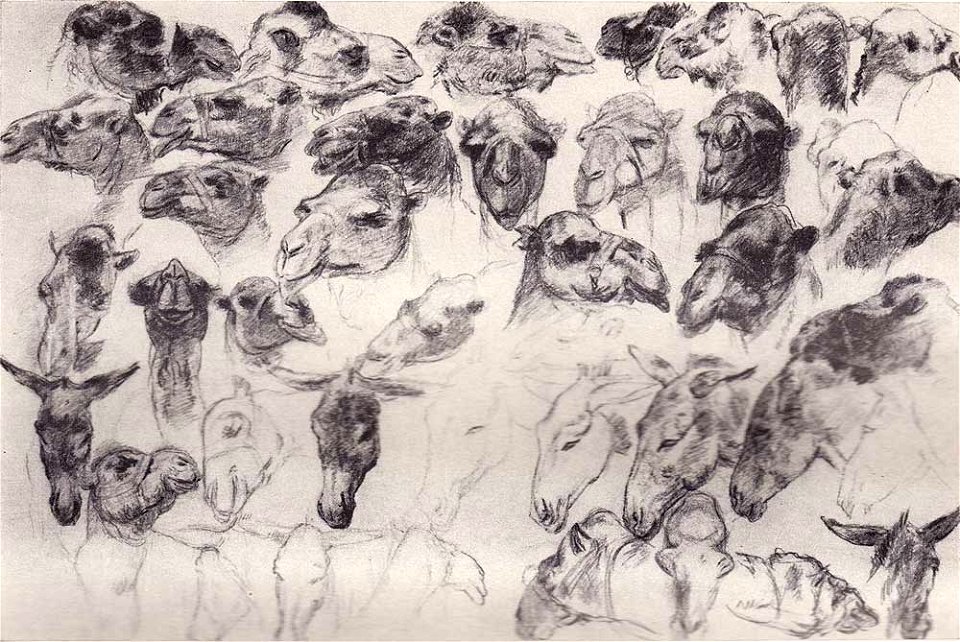 Ржезников Верблюды и ишаки, 1930