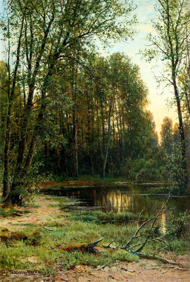 Речная заводь в лесу (Шишкин)