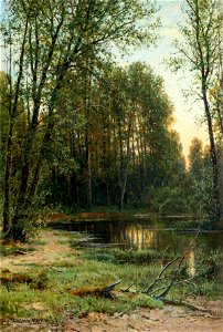Речная заводь в лесу (Шишкин)