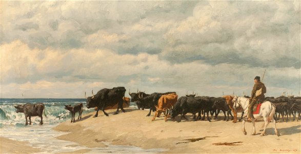 Troupeau de boefs au bord de la mer