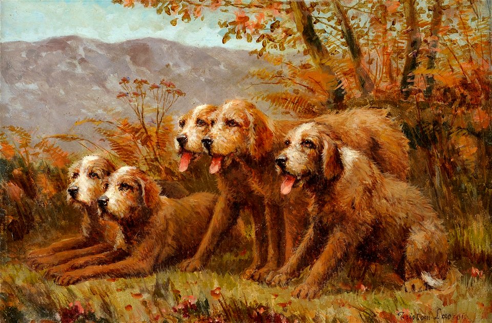 Tristan Lacroix Jagdhunde