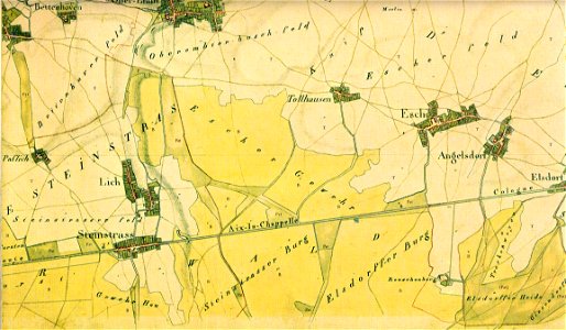 TrK69-Bedburg C1