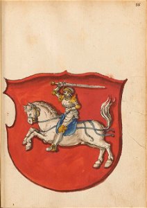 Troki, Pahonia. Трокі, Пагоня (1555) (2)