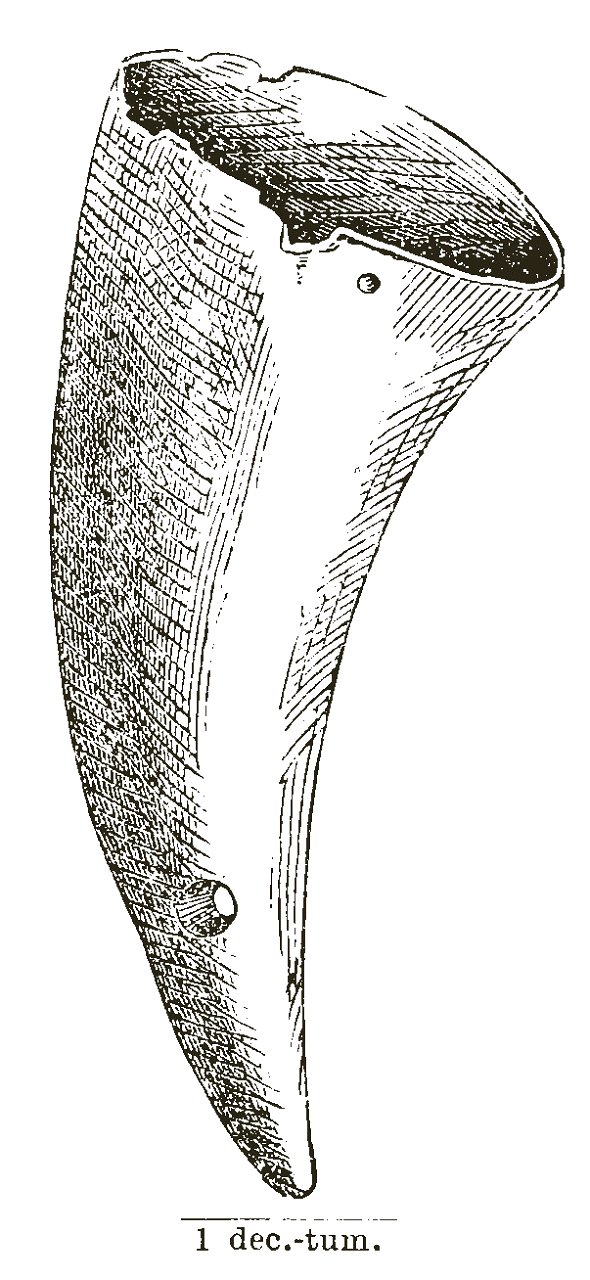 Trollbackan Kapten Elins smörjehorn Hyltén-Cavallius Wärend och Wirdarne (1863) s116