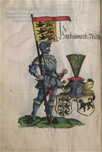 Truchsessenchronik Cod Don 590 118