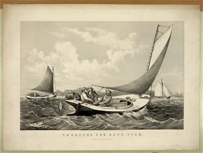 Trolling for blue fish - F.F. Palmer del. ; Currier & Ives, lith. N.Y. LCCN2002697375