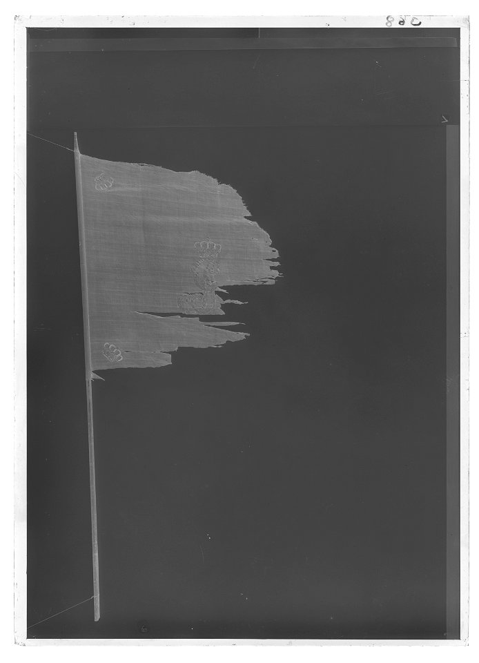 Troligen vaktfana vid Livgardet under Gustav IV Adolfs regering - Livrustkammaren - 26102-negative